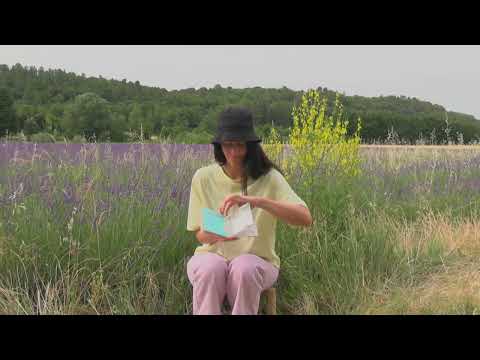 Lecture  de "Bienvenida" par Marta Comín