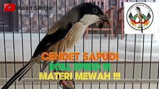 Download lagu cendet sapudi roll speed materi mewah mp3 Download lagu cendet sapudi roll speed materi mewah mp3