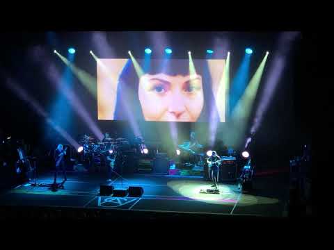 Steven Wilson - Regret #9 Solo (live @ Hamburg 2/20/2019)