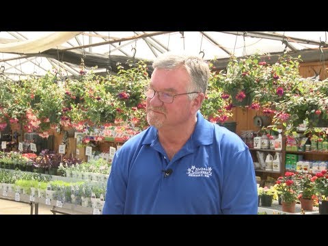 Yankee Chronicle with Dennis Kathan of Kathan Gardens