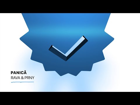 RAVA x PRNY - PANICĂ (Visualizer)