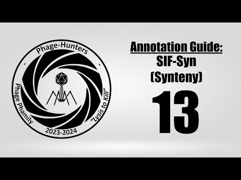 13. Annotation Guide: SIF-Syn (Synteny)