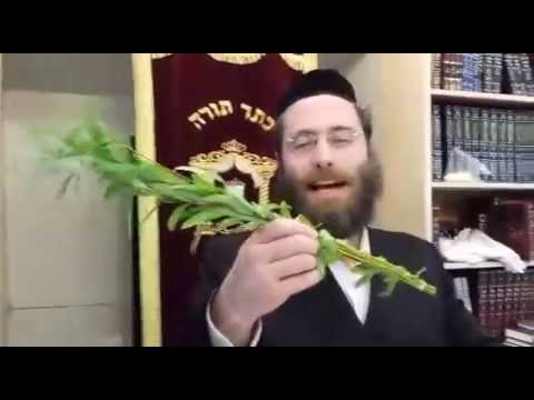 HOSHANA RABBAH ~ THOSE BEATEN PLACES BRINGS US TO THE HIGHEST PLACE