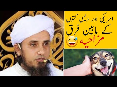 Pakistani aur american kutto mai farq||mufti tariq masood.