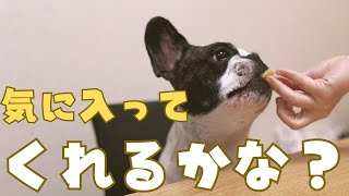 初めての甘夏に少し苦戦するフレブルw
