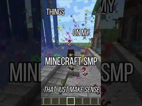 Mind-blowing things on my Minecraft SMP