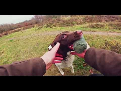 Tilly 16th Dec''24 Kersal Moor