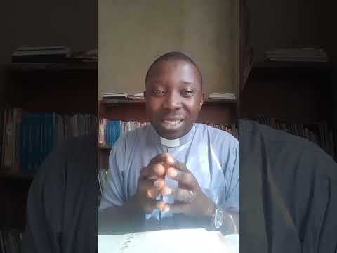 Daily Fountain Recap for 2nd week