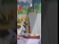 Teletubbies Tap