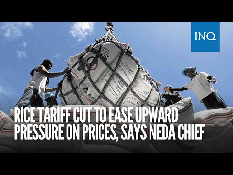 Rice tariff cut to ease upward pressure on prices, says Neda chief