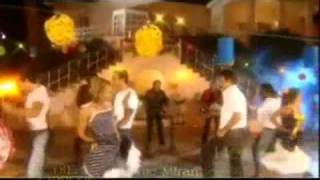 Die Flippers- Medley