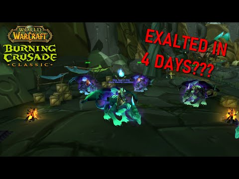 Hitting Exalted With Netherwing - TBC Classic