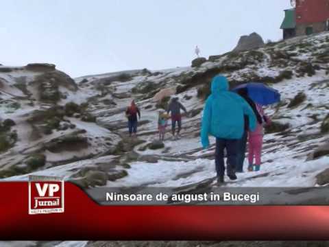 Ninsoare de august în Bucegi