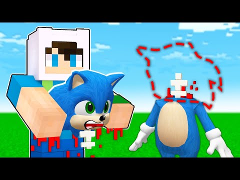 ENES ARSLAN BEBEK SONİC'in KAFASINI ÇALDI - ⚠️ Minecraft