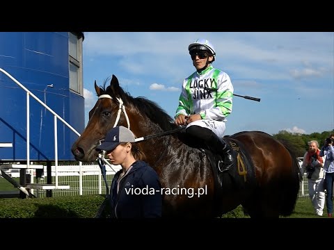 Gon. V - 27.04.2024  - Green Clover (Fascinating Rock - Tamara Love)