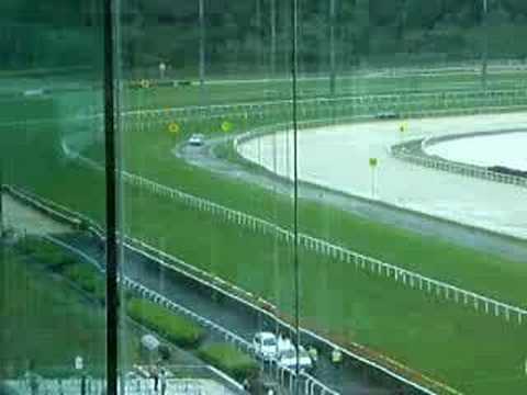 MiNLi @ Singapore - The Turf Club