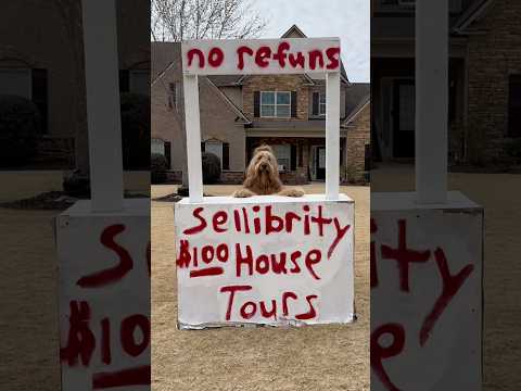 Swapping Lives With Famous Dogs! #petfluencer #funnydogs #goldendoodle