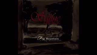 SALINE GRACE - MEMORY LANE