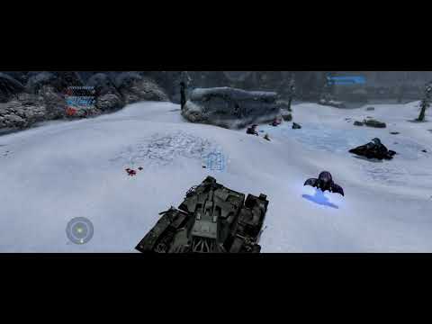 Chips Dubbo: Licensed to Drive