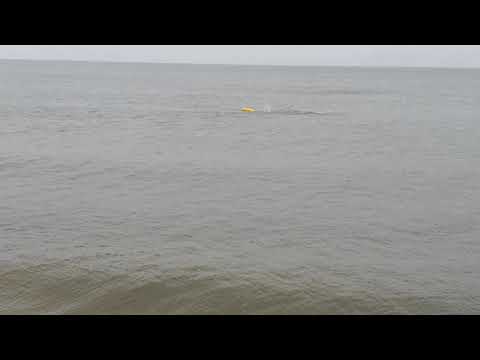 Morsowanie !!! Niesamowity wyczyn!! Pływanie w zimnym Bałtyku,    VID 20201121 095447