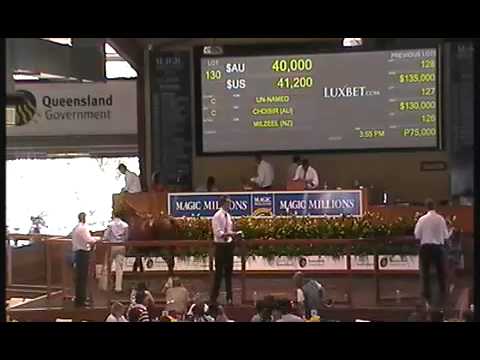 2012 Gold Coast Yearling Sale Lots 121 - 140