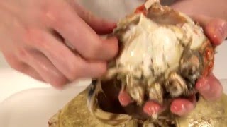 How to prepare a cooked crab