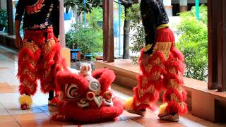 Download lagu Trisuci Barongsai Semarang (BTS pengambilan video imlek di Sekolah Santo Yusuf Semarang) mp3