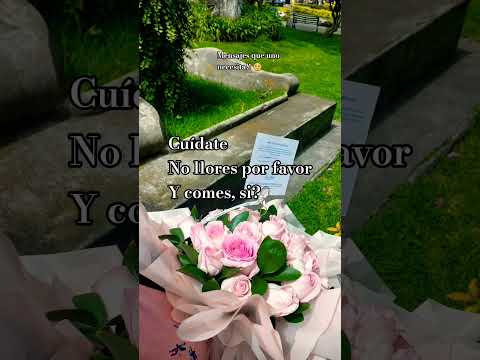 Ánimo #amor #love #motos #frases #deliveryapps #mundo #ibarra #ecuador #larose