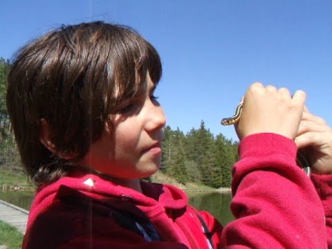 070512 - Returning to the Conservation Area for Another Year 9