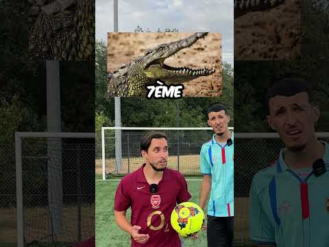 C’est quoi le tien ?
