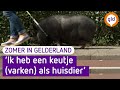 Zomer in Gelderland | Angeren | 8-8-2023 | #2