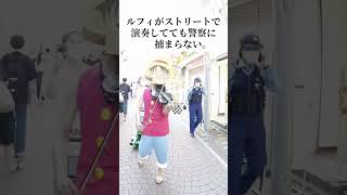 2026年8月12日