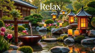 Soothing Water Sounds 🌿 Sleep Music | Insomnia Relief & Deep Rest