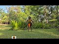 Zulu Dance And His Nature Experience The Vibrant African Culture
