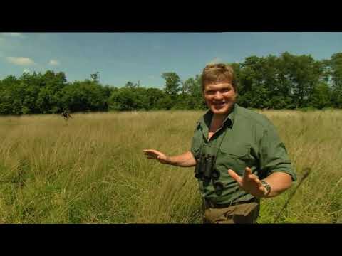 Wild Britain With Ray Mears S01E04   Wetlands