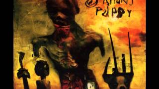 Skinny Puppy - Grave Wisdom