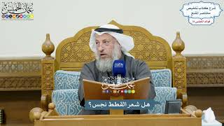 3545 - هل شعر القطط نجس؟ - عثمان الخميس
