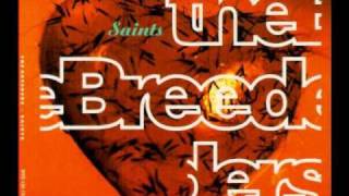 The Breeders - New Year (Demo)