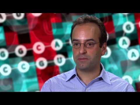 AACR Special Conference on Noncoding RNAs and Cancer