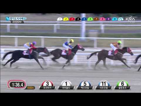 Gyeonggi Governor's Cup 2013 - Joy Lucky