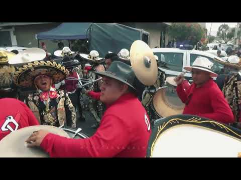 Banda la Diabla - Candela verde | El venao