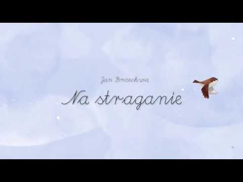 Jan Brzechwa - Na straganie | Animacja | Napisy |
