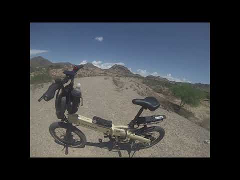 Lectric XP Lite 2.0:  One Year Ownership Review