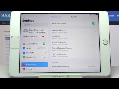 Customize Notifications on APPLE iPad Mini 4 - Set Notification Sound