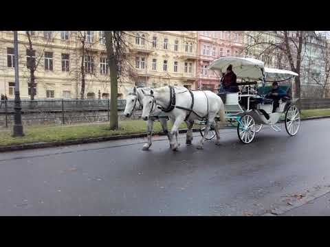 Karlovy Vary - koňské zpřeženi