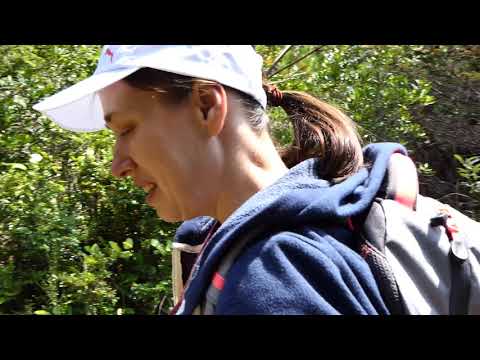 2018-07-30-Oregon Dunes Overlook