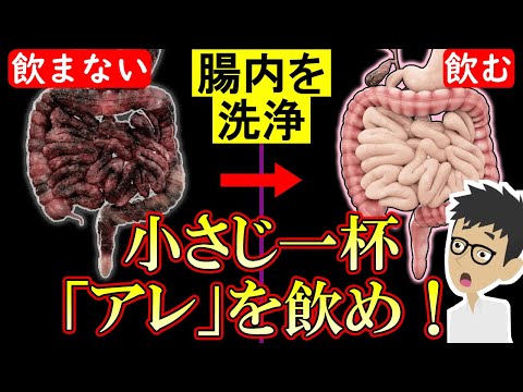 タンパク質が豊富な食事は腸の健康を改善すると研究結果が発表