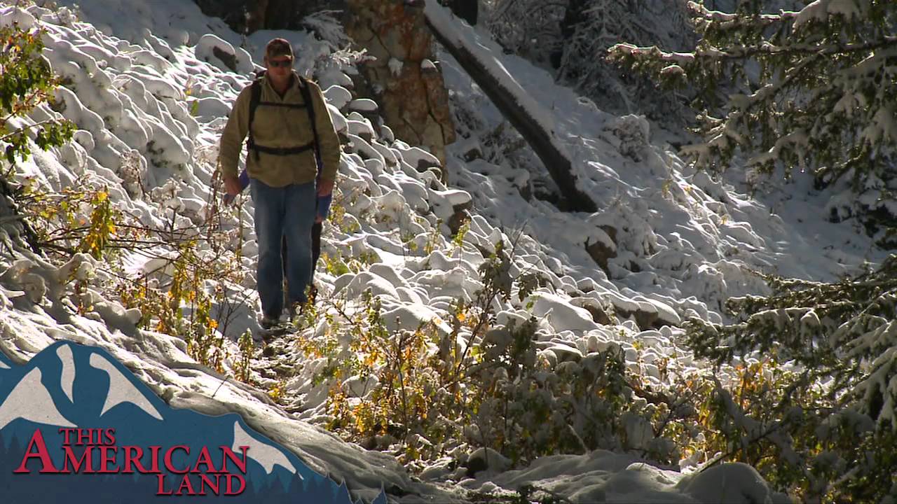 This American Land Trailer