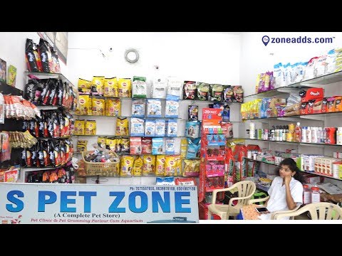 download lagu mp3 mp4 Petzone Clinic, download lagu Petzone Clinic gratis, unduh video klip Petzone Clinic