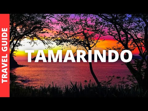 Tamarindo Costa Rica Travel Guide: 14 BEST Things To Do In Tamarindo